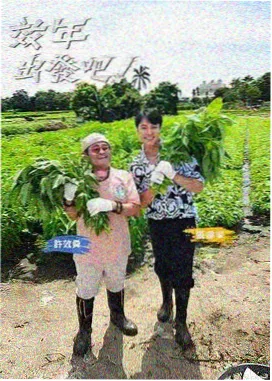 花期未晚 美女综艺在线观看完整版封面